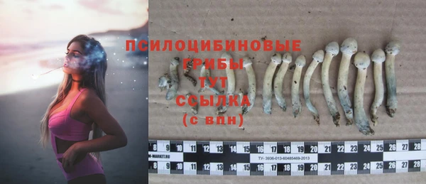 ECSTASY Беломорск