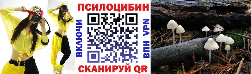 Галлюциногенные грибы прущие грибы  где найти наркотики  Дмитровск 